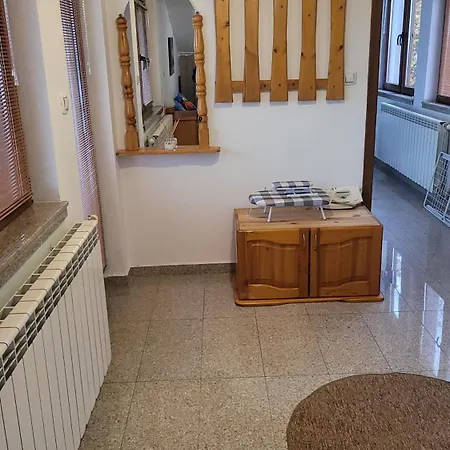 стела شقة