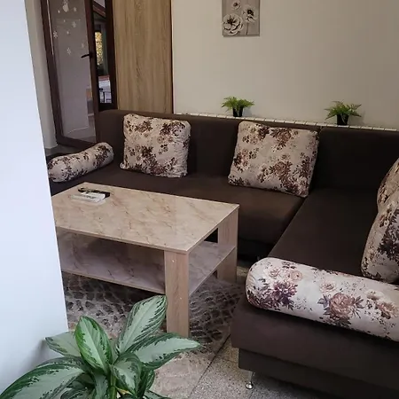 Apartament стела